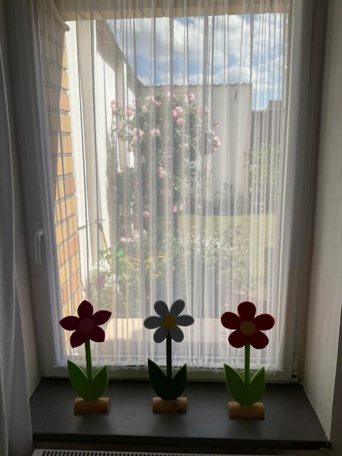 Ferienwohnung - Monteurunterkunft Loitz Exteriör bild